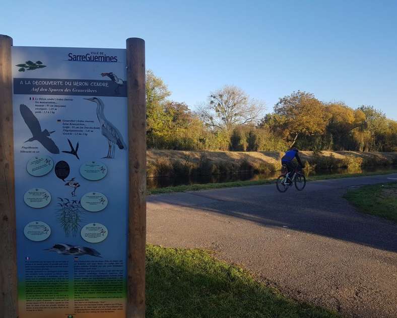 Sarreguemines Tourisme  Sentier du héron