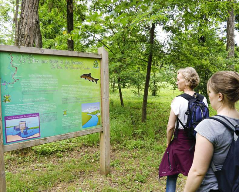 ESiest - Sarreguemines Tourisme Arboretum