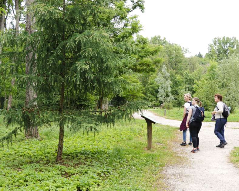 ESiest - Sarreguemines Tourisme Arboretum