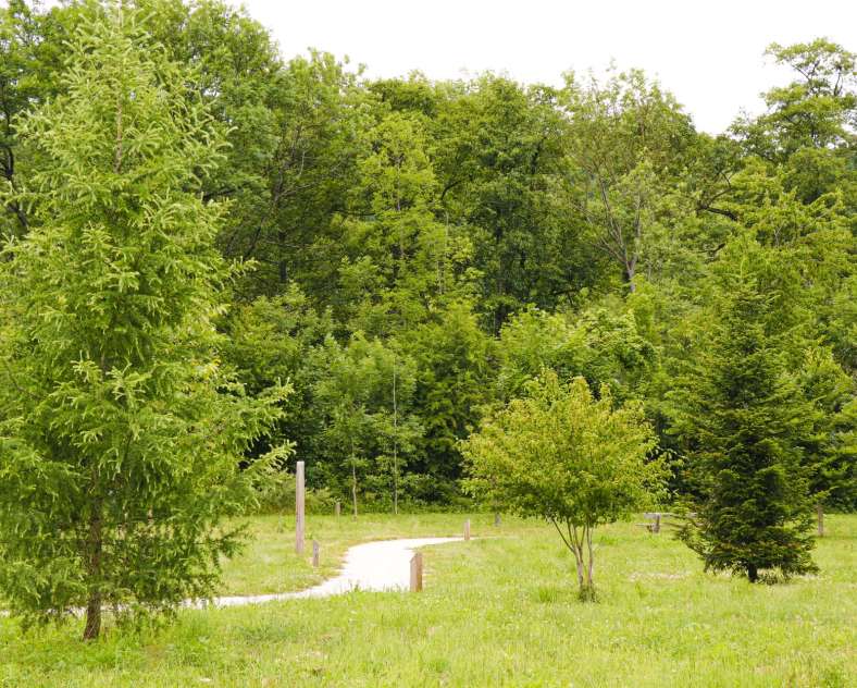 ESiest - Sarreguemines Tourisme Arboretum