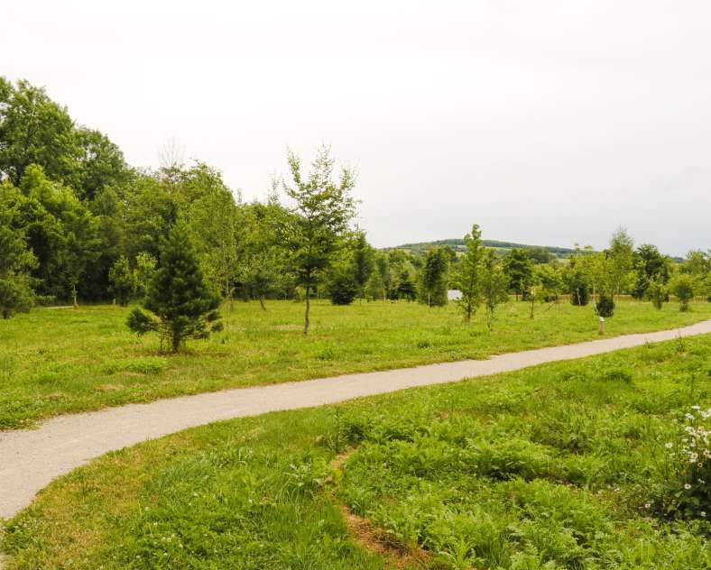 ESiest - Sarreguemines Tourisme Arboretum
