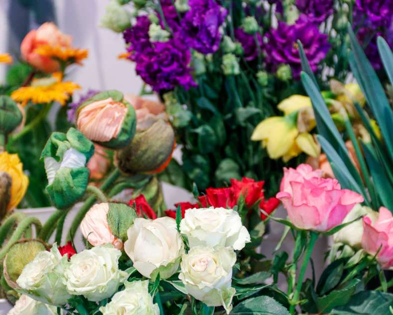 CTurpin Sarreguemines Tourisme Juste une evidence