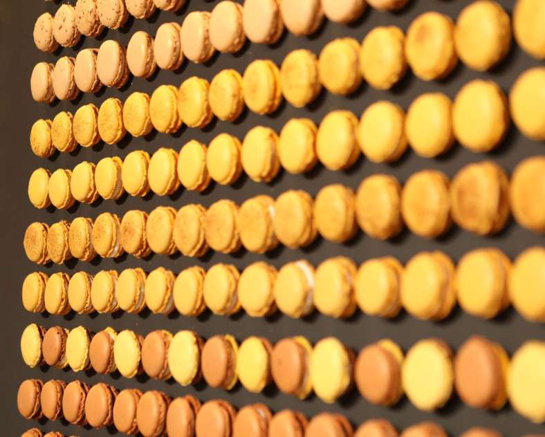 Ombres et lumières  Instants de gourmandises