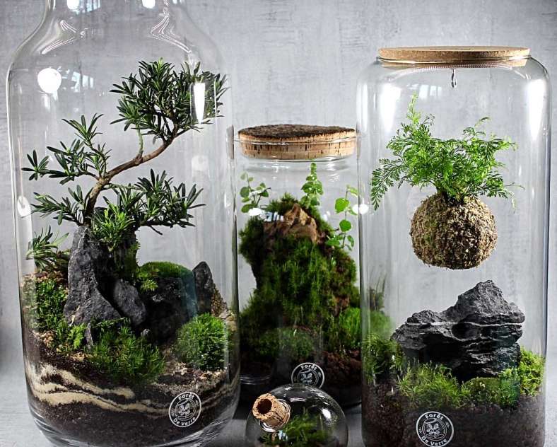 Foret de verre - Woustviller  Forêt de verre