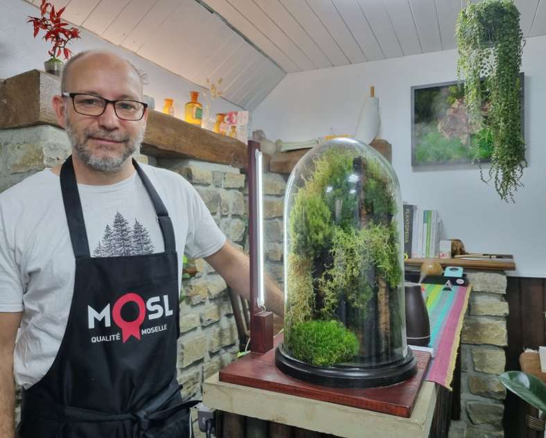 Foret de verre - Woustviller  Forêt de verre