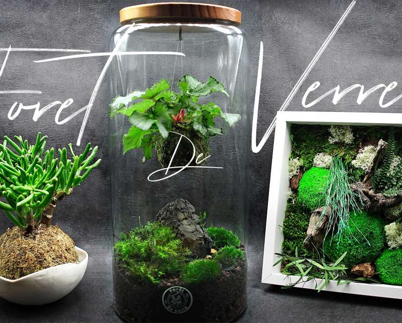 Foret de verre - Woustviller  Forêt de verre