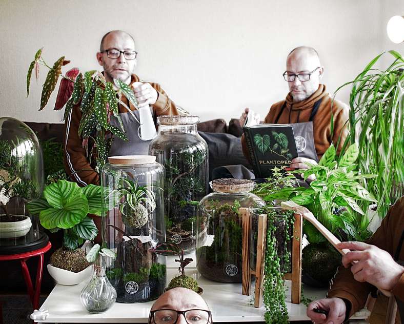 Foret de verre - Woustviller  Forêt de verre