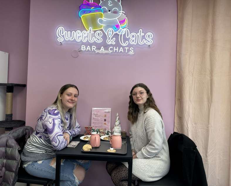 Radio Mélodie Sweets & Cats - Bar à chats