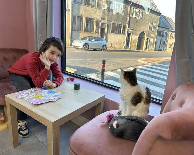 Radio Mélodie Sweets & Cats - Bar à chats