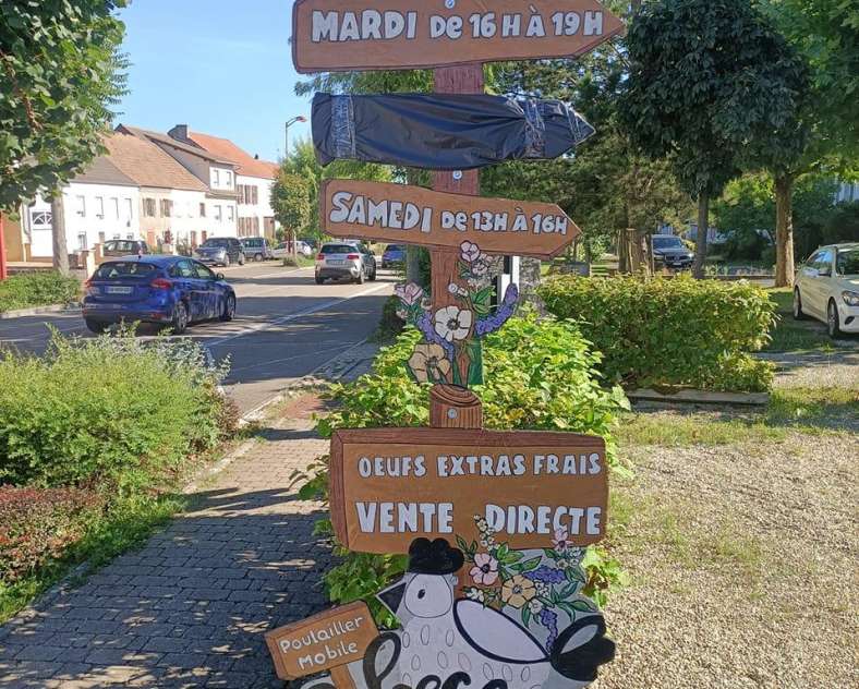 Rébecca Schmitt Rébecca et ses Poulettes - Ferme Gilles Juncker