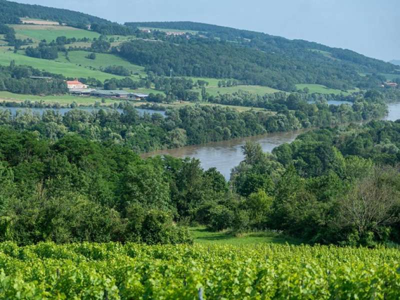 Domaine Georges Constantin Buzea Domaine Buzéa G-C