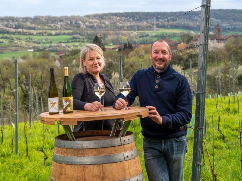 CI PHOTOS  Domaine Briquet Muller