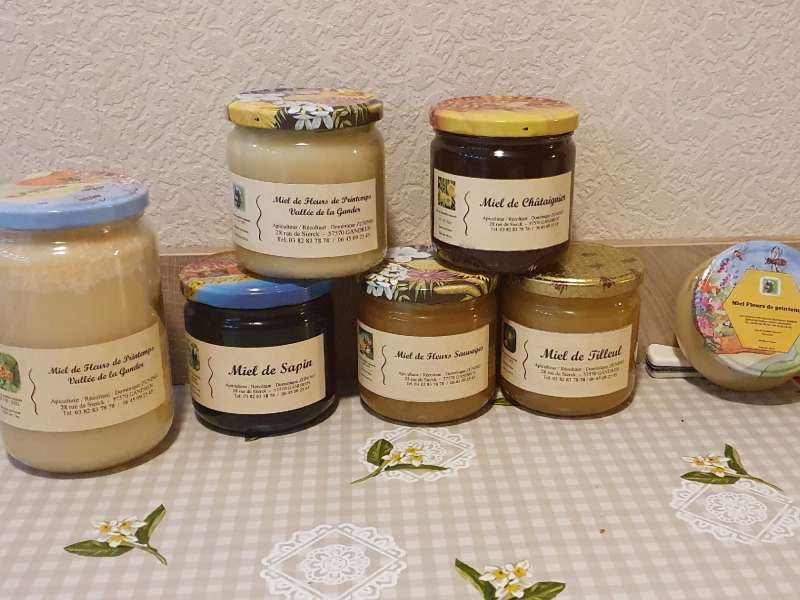 Dominique Zunino Les Ruches de Dom