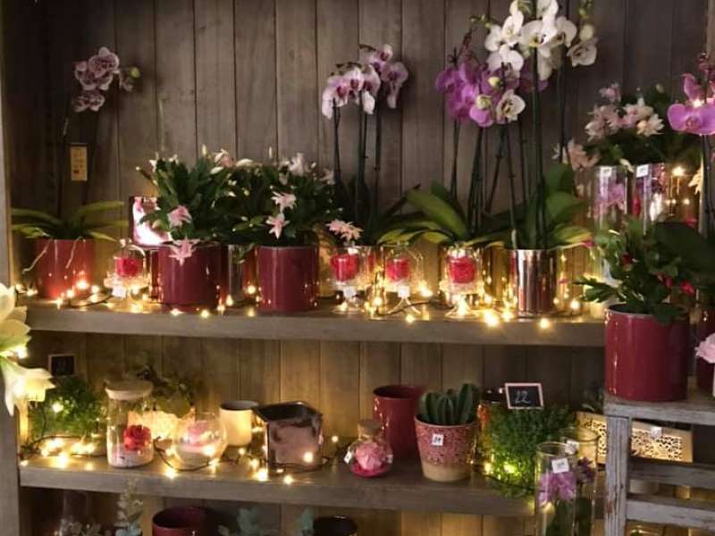 Lavandou Fleurs Lavandou Fleurs