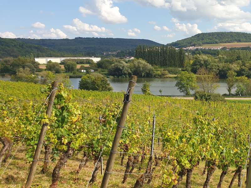 OT CCCE  Parcours ludique - Bon Voyage Krebsy - Haute-Kontz