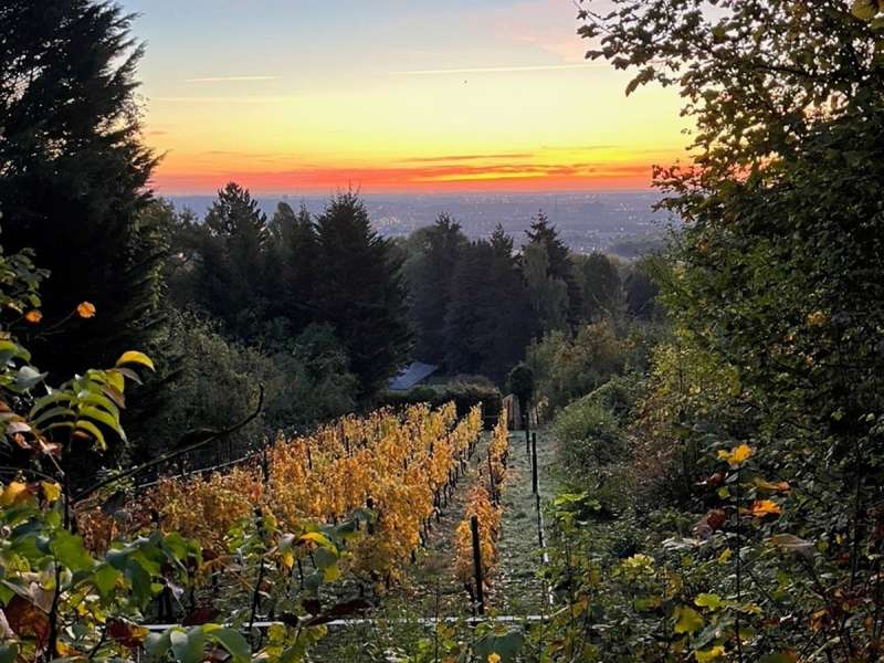 Commune de Plappeville Les pelouses calcaires de la Taye aux Vaches