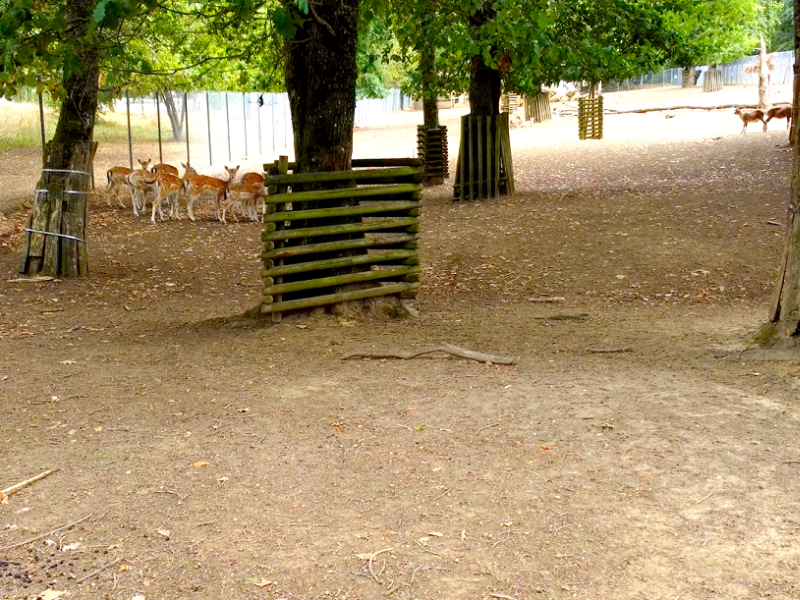Ville de Woippy Parc du Pâtis