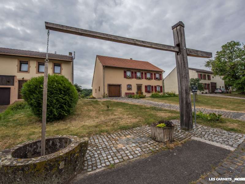 BALADE AUX ÉTANGS DE HOSTE