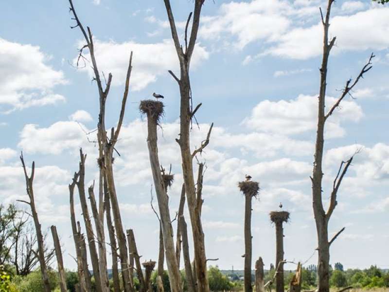 Stéphane Thévenin Boucle du Hostert