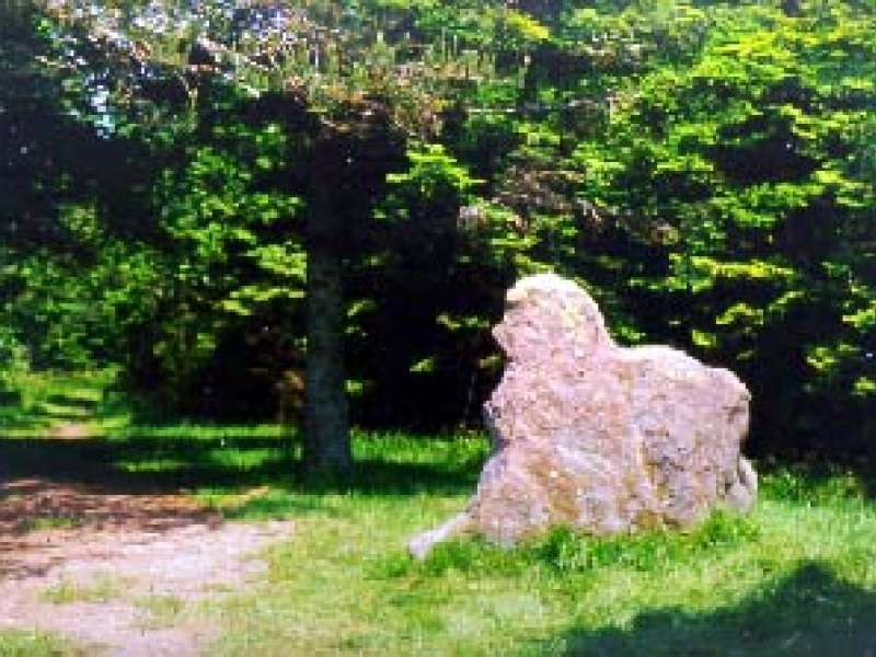 otipp Rocher du Hengst