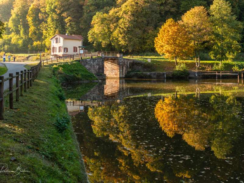Patrice BUCHER Circuit vélo de l'Eselbahn