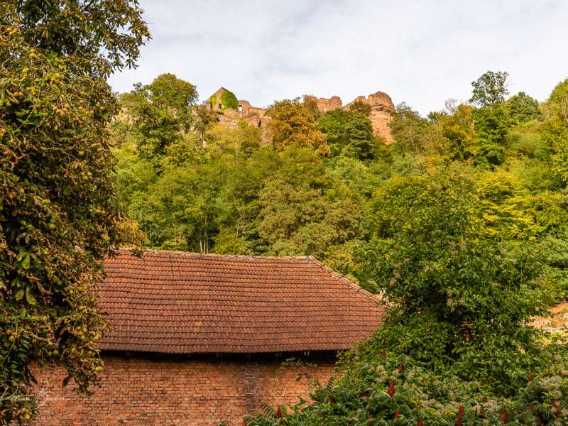 ESCAPADE VÉLO AU CHÂTEAU DE LUTZELBOURG