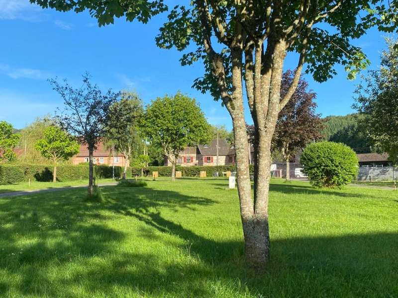 Photo de Iryna Labbe Camping de la Sarre