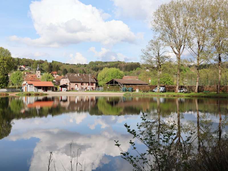 TSMS - A. Muller  Étang de la Forge