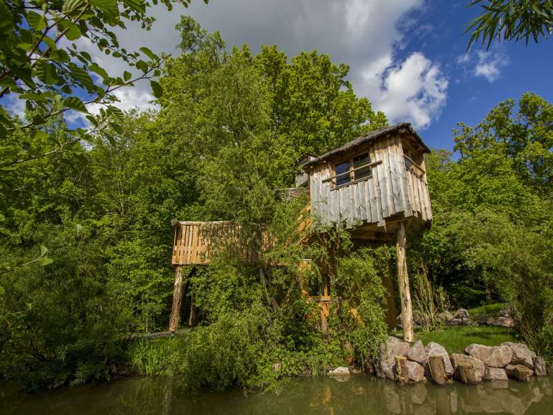 Morgane Bricard Hébergement insolite - Cabane des Lémuriens
