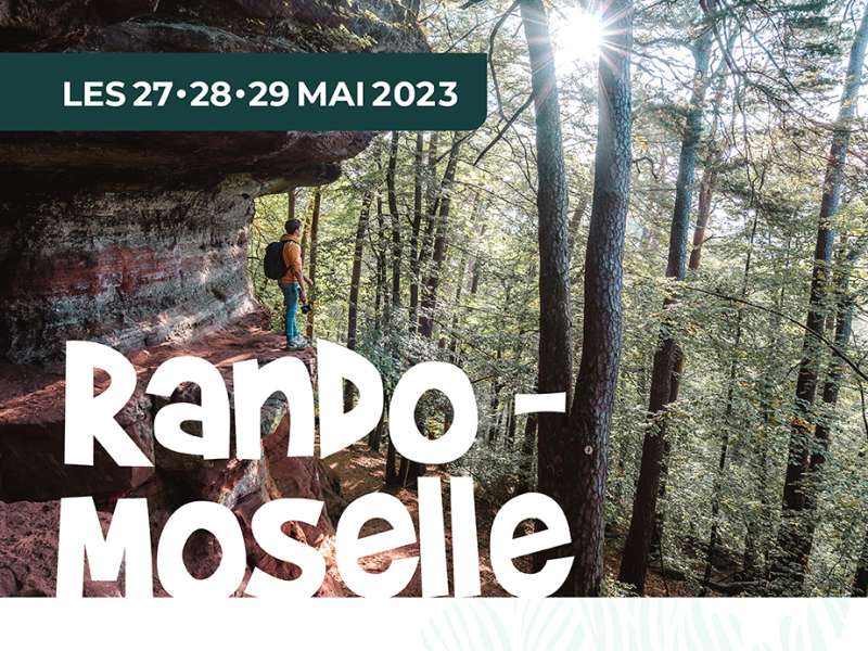 RANDO-MOSELLE : HISTOIRE ET ORGUE