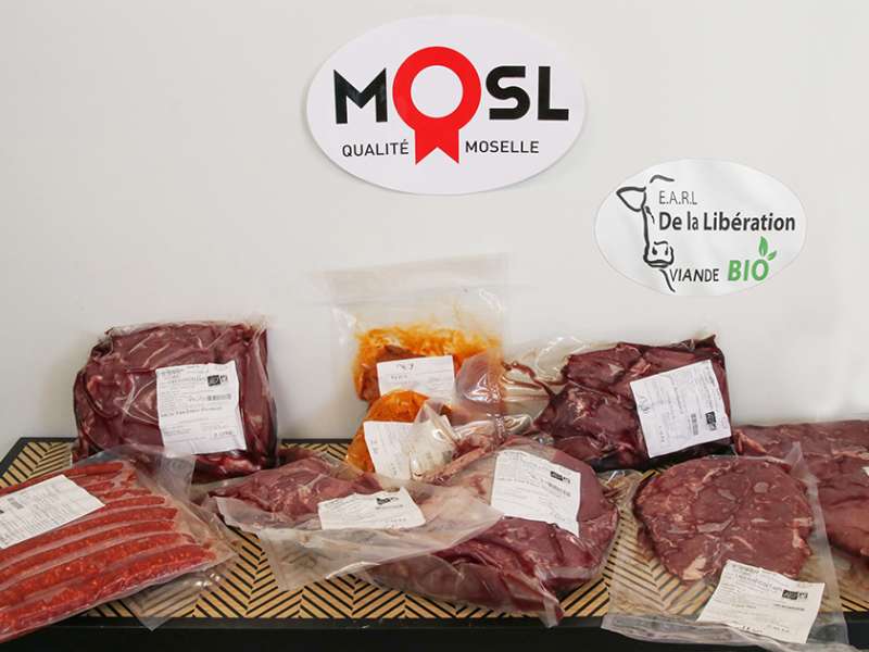 Lid Sirkis  Earl de la libération