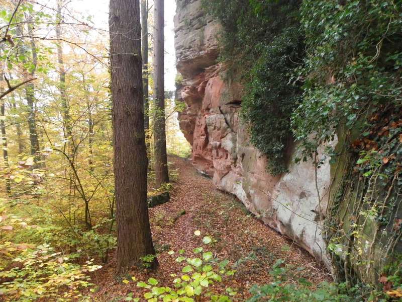 Céline Chall - OTIPB  Le château du Grand Arnsbourg