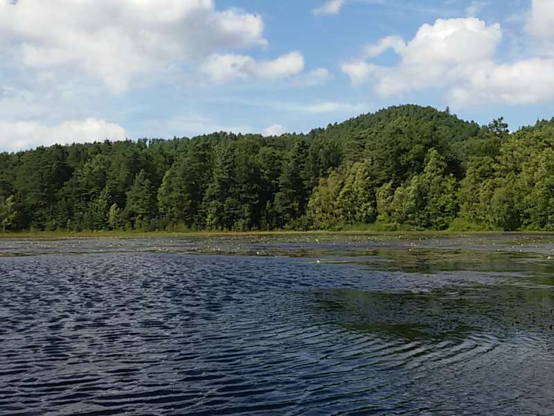 OTIPB  Étang de waldeck - réserve naturelle