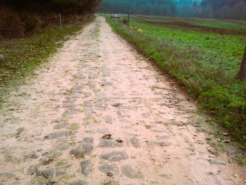 C.Romang - OTIPB  Sentier d'excellence 6 - circuit du rocher de l'Altschlossfelsen