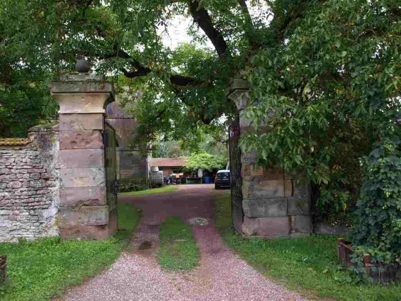 Thierry Conrard  Brasserie l'Arsenal