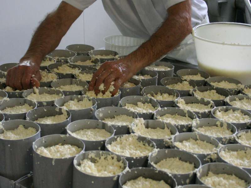 FROMAGERIE DE L'ABBAYE DE VERGAVILLE