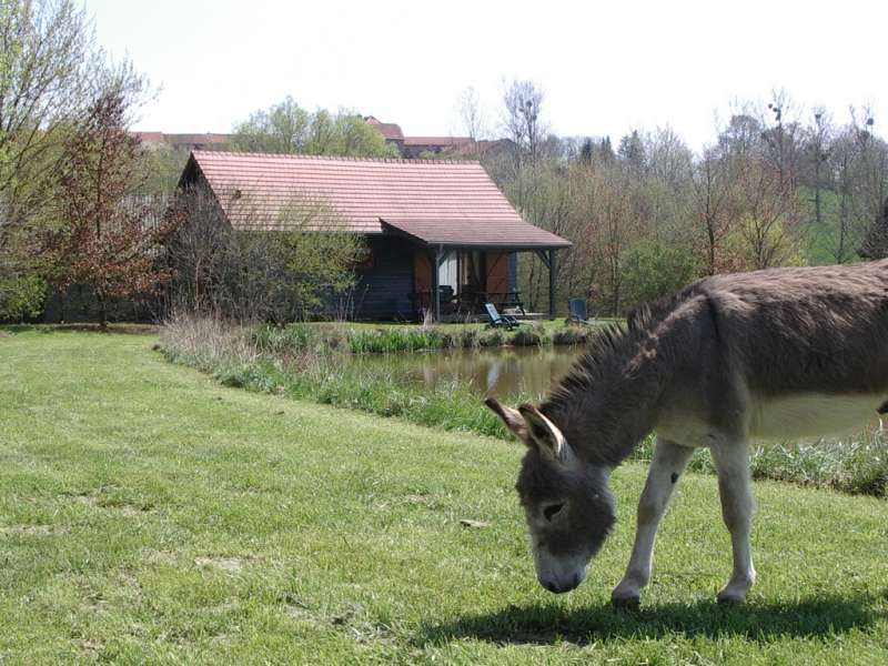 SARL PATE  Chalet mélèze