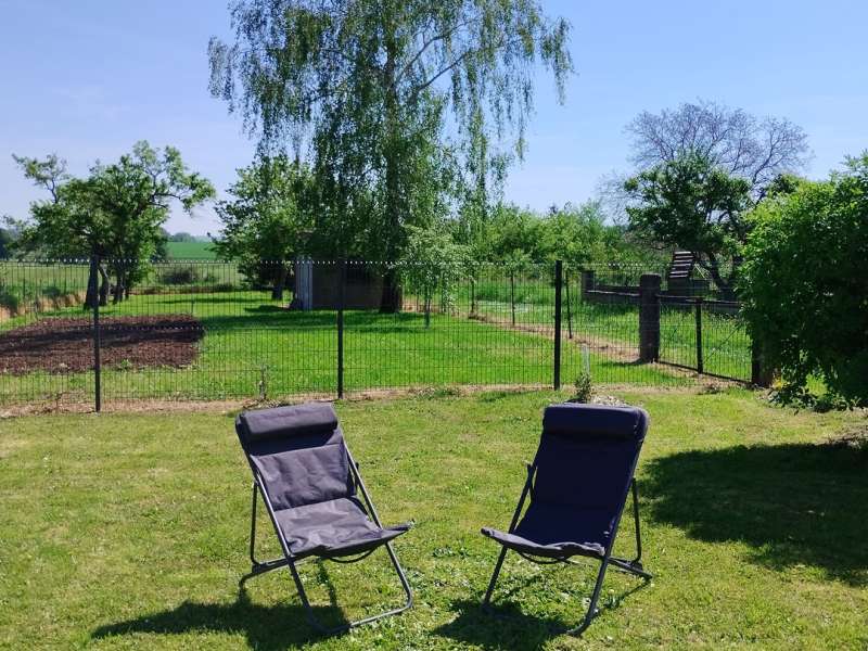 L-Roth  Le grain de sel