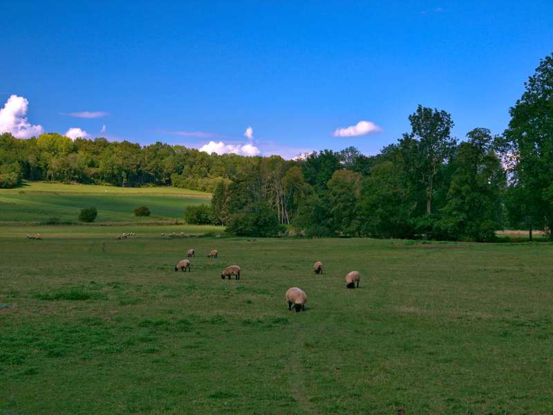 Emmanuel Stourm 2020
Licence Open Data Circuit des deux vallées par Vasperviller