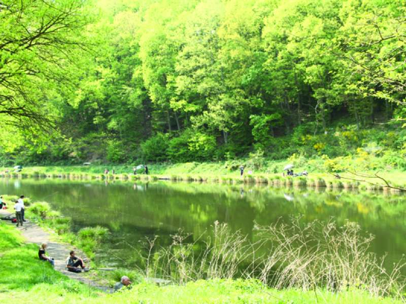 Mairie de Petite-Rosselle Circuit du galibot