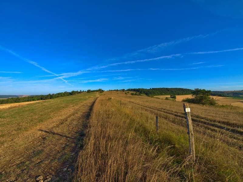 Emmanuel Stourm 2020
Licence Open Data La côte d'Arry