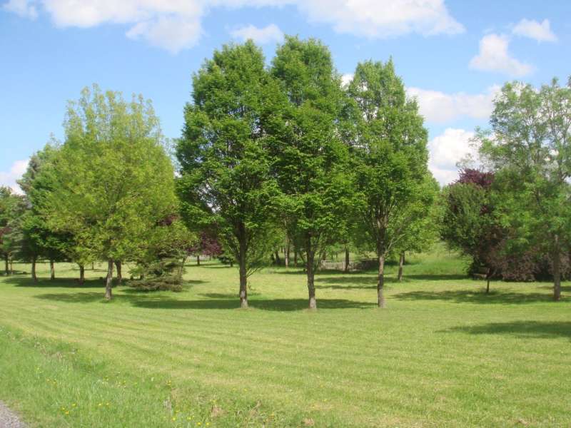 Communuauté de Communes du Pays des Etangs Circuit du petit étang