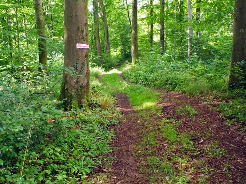 Communauté de Communes du Pays Haut Val d'Alzette Circuit autour du kayl