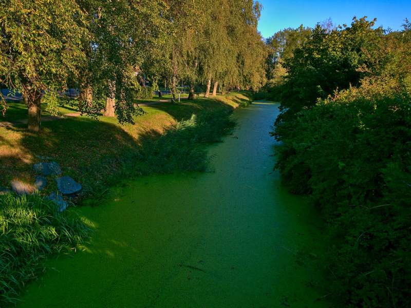 RANDONNÉE DE SEL ET D'EAU