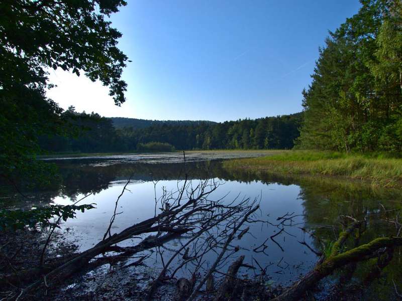 Emmanuel Stourm 2020
Licence Open Data  Sentinelles de grès