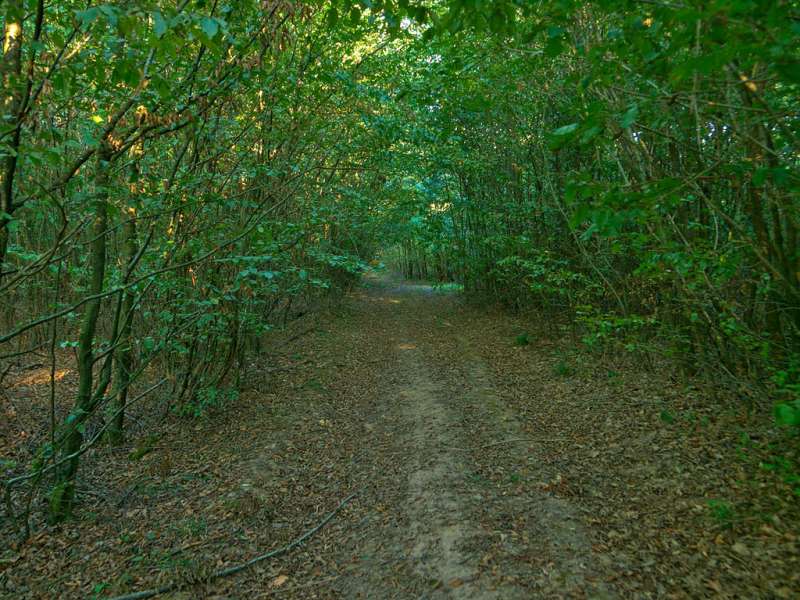 Emmanuel Stourm 2020
Licence Open Data Les coteaux d'Albestroff