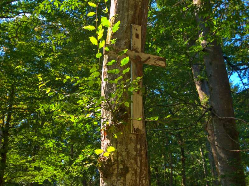 Emmanuel Stourm 2020
Licence Open Data  Boucle de Sainte-Anne