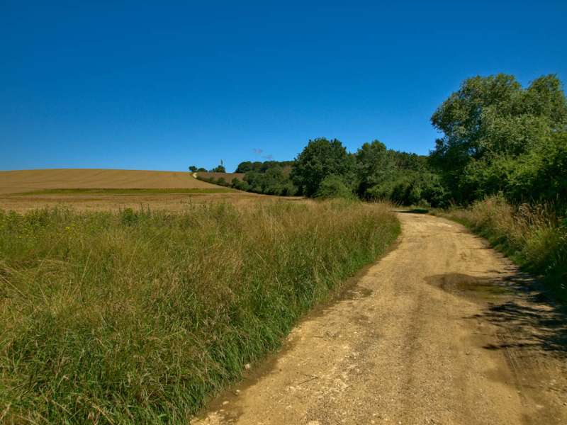 Emmanuel Stourm 2021 Le petelot