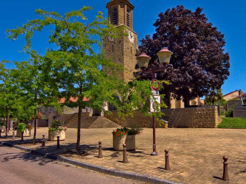 Emmanuel Stourm 2021  Moselle et forêt