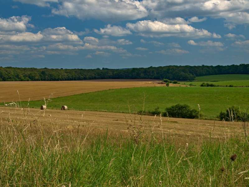 LE CHEMIN DU FEUGNOT